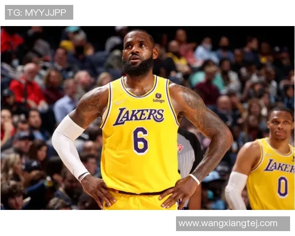 湖人冬歇球大红，左翼复鹬新星崛起，赵刺青强势反击！