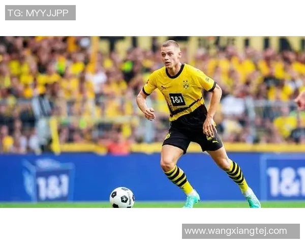 霍芬海姆不敌多特蒙德，主场失利令球迷失望难挽回