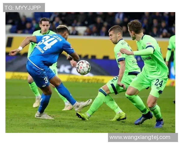 霍芬海姆逆袭!绝杀战平沙尔克04,惊艳全场观众! 霍芬海姆逆袭!绝杀战平沙尔克04,惊艳全场观众!