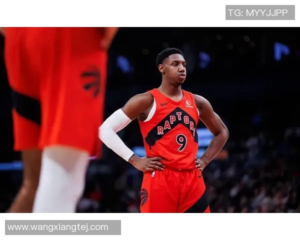 猛龙新赛季引进重量级球员备战