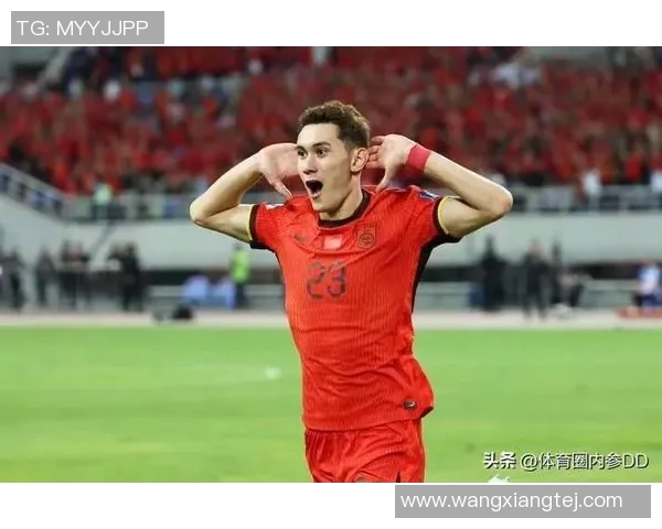 沃尔夫斯堡外租球员秀出色或成未来核心力量