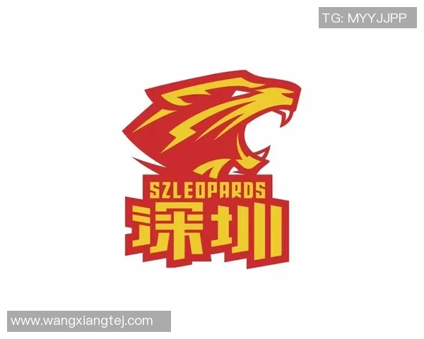 赛场上的黑马！深圳马可波罗逆袭夺冠引爆网络